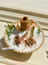 Load image into Gallery viewer, Natural Fire Starters Beautiful Gift or Favor: Orange &amp; Clove / Plain