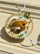 Load image into Gallery viewer, Natural Fire Starters Beautiful Gift or Favor: Apple Maple Burbon / Plain