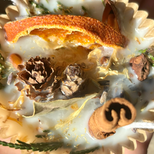 Load image into Gallery viewer, Natural Fire Starters Beautiful Gift or Favor: Orange &amp; Clove / Plain